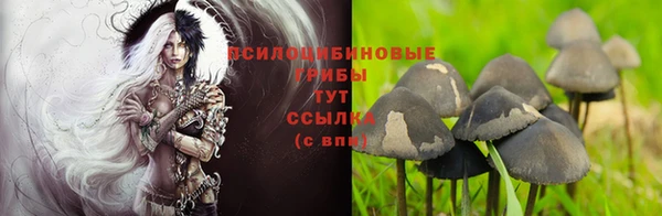 марки lsd Магадан