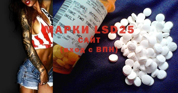 дживик Майский