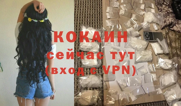 дживик Майский