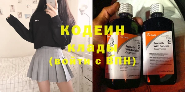 дживик Майский